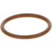 BOSCH Dichtring F 00V P01 005