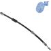Blue Print Bremsschlauch ADN153239