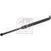 FEBI BILSTEIN 27602 Gasfeder, Koffer-/Laderaum