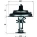 Mahle Thermostat, Kühlmittel BEHR TX 26 80D