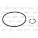 Valeo Kraftstofffilter 587905