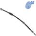 Blue Print Bremsschlauch ADN153238