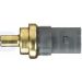 Delphi Sensor, Kühlmitteltemperatur TS10278