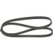 BOSCH Keilrippenriemen 1 987 946 084 BOSCH Keilrippenriemen 1 987 946 084
