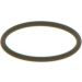 BOSCH Dichtring F 00V C38 002