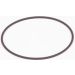 BOSCH Dichtring F 01M 100 371