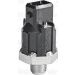 Valeo Klopfsensor 255400