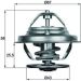 Mahle Thermostat, Kühlmittel BEHR TX 19 75D