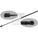 FEBI BILSTEIN 33563 Gasfeder, Motorhaube