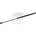 FEBI BILSTEIN 174343 Gasfeder, Koffer-/Laderaum