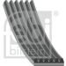 FEBI BILSTEIN 29009 Keilrippenriemen