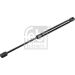 FEBI BILSTEIN 177453 Gasfeder, Koffer-/Laderaum