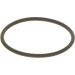 BOSCH Dichtring F 00N 202 130