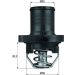 Mahle Thermostat, Kühlmittel BEHR TI 47 89