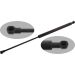 FEBI BILSTEIN 29979 Gasfeder, Koffer-/Laderaum