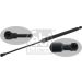 FEBI BILSTEIN 47912 Gasfeder, Koffer-/Laderaum