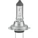 Hella Glühlampe STANDARD 8GH 007 157-121 Hella Glühlampe STANDARD 8GH 007 157-121
