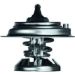 Mahle Thermostat, Kühlmittel BEHR TX 29 71D