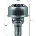 Mahle Thermostat, Kühlmittel BEHR TX 174 86 Mahle Thermostat, Kühlmittel BEHR TX 174 86