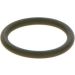 BOSCH Dichtring F 00R J01 452
