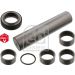 FEBI BILSTEIN 15901 Reparatursatz, Achsschenkelbolzen