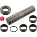 FEBI BILSTEIN 15903 Reparatursatz, Achsschenkelbolzen