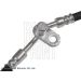 Blue Print Bremsschlauch ADM553117C