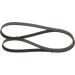 BOSCH Keilrippenriemen 1 987 946 295 BOSCH Keilrippenriemen 1 987 946 295