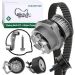 INA 530 0089 31 Wasserpumpe + Zahnriemensatz INA 530 0089 31 Wasserpumpe + Zahnriemensatz