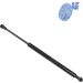 Blue Print Gasfeder, Motorhaube ADN15812