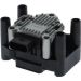 BOSCH F 000 ZS0 210 Zündspule BOSCH F 000 ZS0 210 Zündspule