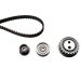 INA Zahnriemensatz 530 0007 10