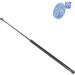 Blue Print Gasfeder, Koffer-/Laderaum ADT35801