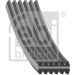 FEBI BILSTEIN 40713 Keilrippenriemen
