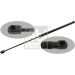 FEBI BILSTEIN 30880 Gasfeder, Motorhaube