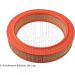 Blue Print Luftfilter ADK82213