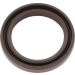 Corteco Wellendichtring, Kurbelwelle 19034978B