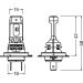 Glühlampe, Fernscheinwerfer 64210DWNBSP-2HB Glühlampe, Fernscheinwerfer 64210DWNBSP-2HB