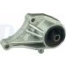 Delphi Lagerung, Motor TEM031