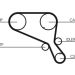ContiTech Zahnriemen CT952