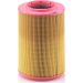 MANN-FILTER C 17 201/3 Luftfilter