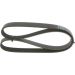 BOSCH Keilrippenriemen 1 987 946 240