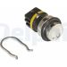 Delphi Sensor, Kühlmitteltemperatur TS10245-12B1