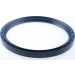 Dichtring 12016060B Dichtring 12016060B