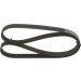 BOSCH Keilrippenriemen 1 987 947 818