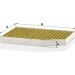 MANN-FILTER FP 30 007 Innenraumfilter FreciousPlus Aktivkohlefilter mit Polyphenol, antibakteriell, Feinstaubfilter (PM 2.5)