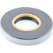 Dichtring 12001883B
