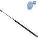 Blue Print Gasfeder, Koffer-/Laderaum ADM55809