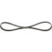 BOSCH Keilrippenriemen 1 987 947 923 BOSCH Keilrippenriemen 1 987 947 923
