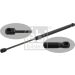 FEBI BILSTEIN 31647 Gasfeder, Koffer-/Laderaum